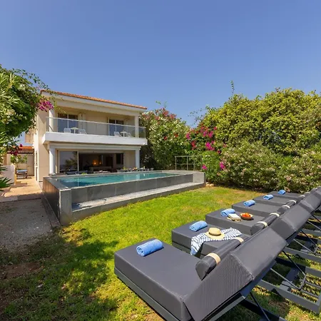 Adalia Πρωταράς