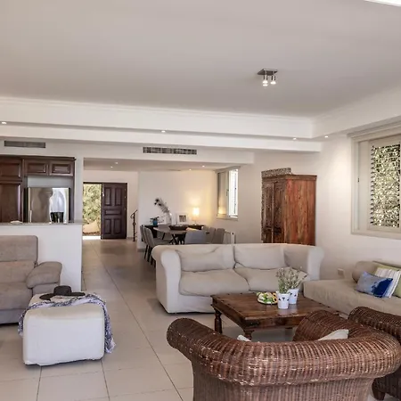 Adalia 普罗塔拉斯