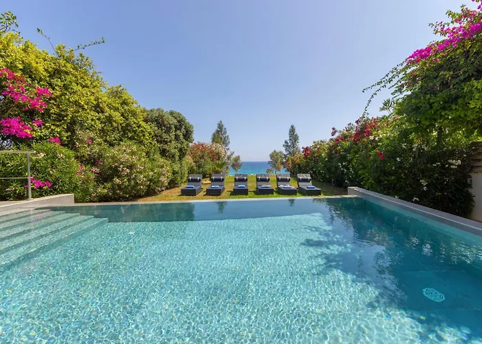 Adalia * プロタラス